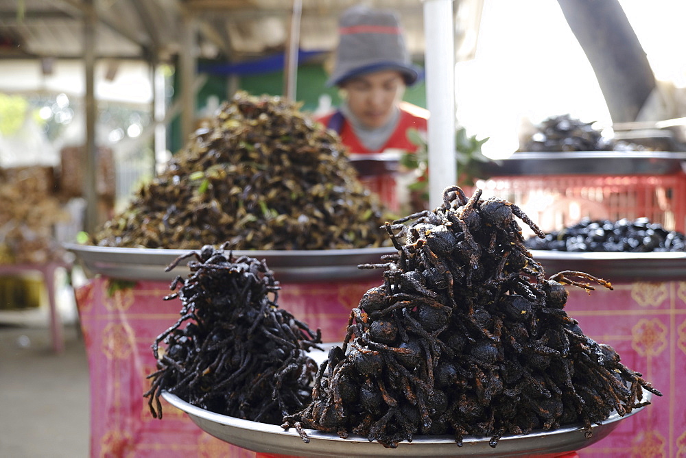 Tarantulas and other insects and bugs for sale as street food, Cambodia, Indochina, Southeast Asia, Asia