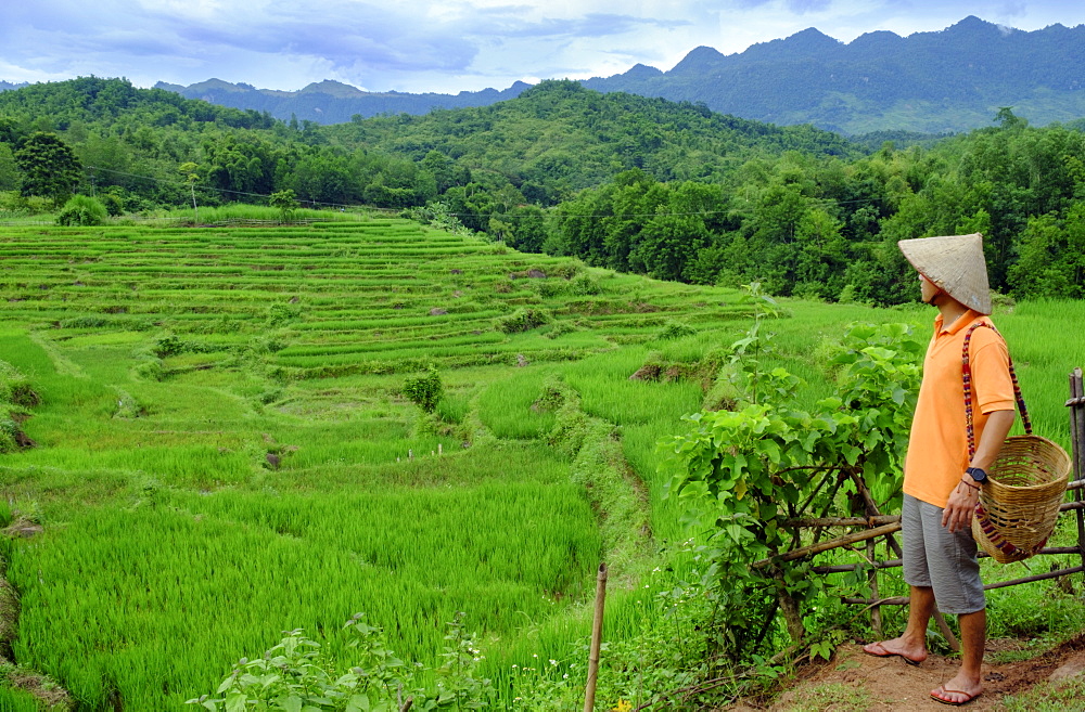 Farmer wearing a conical hat looking out over rice paddy terraces, Mai Chau, Hoa Binh, Vietnam, Indochina, Southeast Asia, Asia