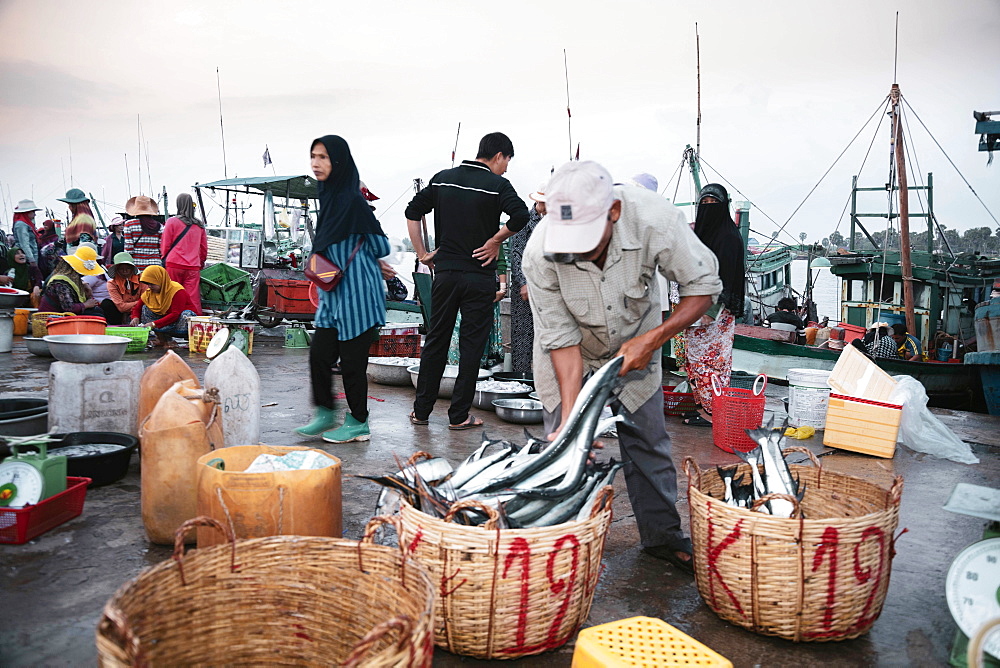 The morning fish market on the banks of the Preaek Tuek Chhu River in Kampot town, Cambodia, Indochina, Southeast Asia, Asia