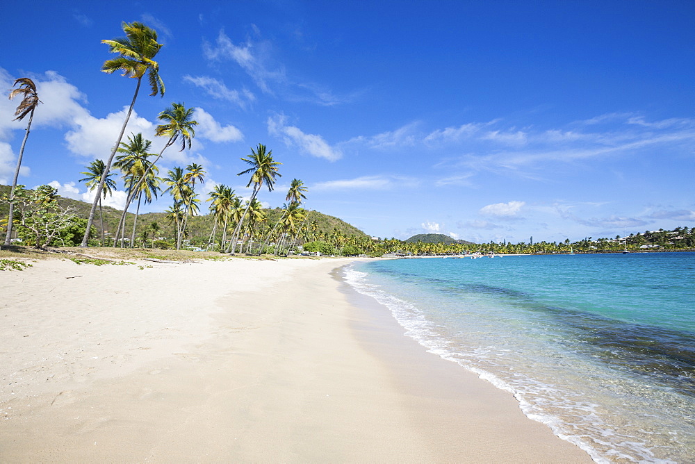 The long beach surrounded by palm trees and the Caribbean Sea, Morris Bay, Antigua and Barbuda, Leeward Islands, West Indies, Caribbean, Central America