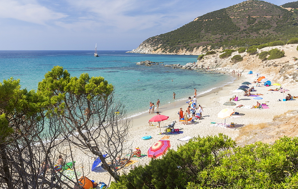 Mediterranean vegetation frames the beach and the turquoise sea of Porto Sa Ruxi, Villasimius, Cagliari, Sardinia, Italy, Mediterranean, Europe