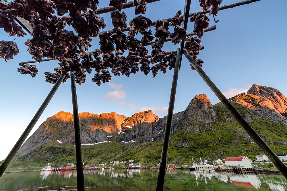 Midnight sun on dried fish framed by fishing village and peaks, Reine, Nordland county, Lofoten Islands, Arctic, Northern Norway, Scandinavia, Europe