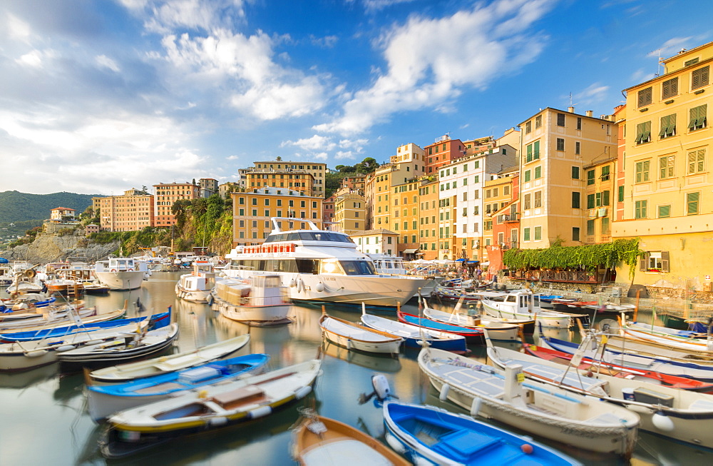 Blue sky over harbour of the fishing village of Camogli, Gulf of Paradise, Portofino National Park, Genoa Province, Liguria, Italy, Europe