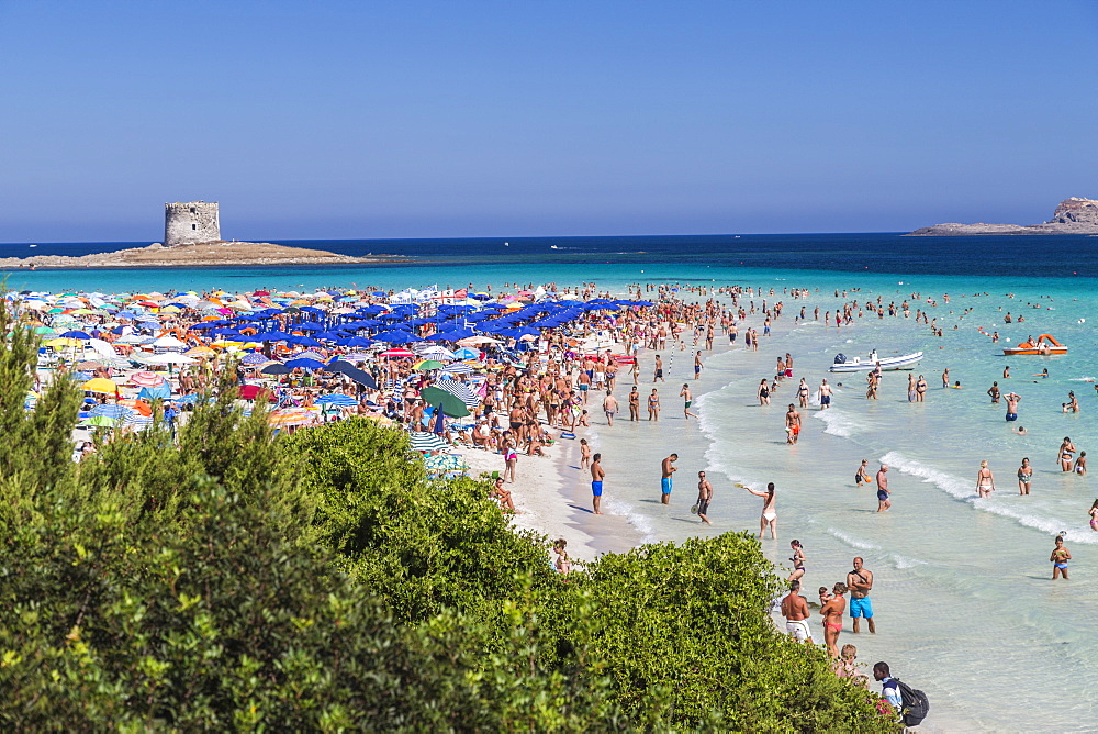 Tourists and beach umbrellas at La Pelosa Beach, Stintino, Asinara National Park, Province of Sassari, Sardinia, Italy, Mediterranean, Europe