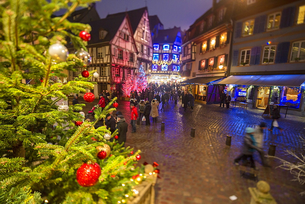 Colourful lights on Christmas trees and ornaments at dusk, Colmar, Haut-Rhin department, Alsace, France, Europe