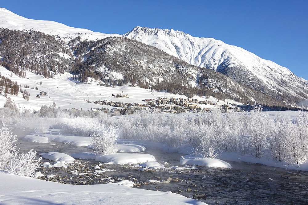 Snow covered trees and river Inn frame the alpine village of Samedan, Maloja, Canton of Graubunden, Engadine, Switzerland, Europe