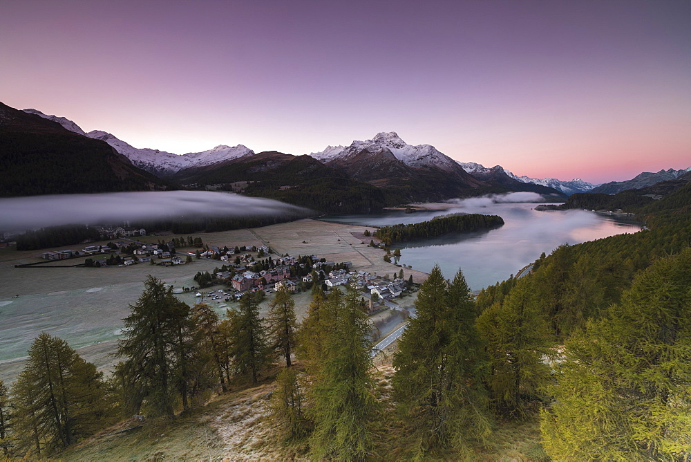 Pink sky at sunrise and mist on the lake and alpine village of Sils, Canton of Graubunden, Engadine, Switzerland, Europe