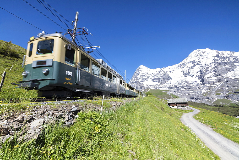 The Wengernalpbahn rack railway runs across meadows and snowy peaks, Wengen, Bernese Oberland, Canton of Bern, Switzerland, Europe