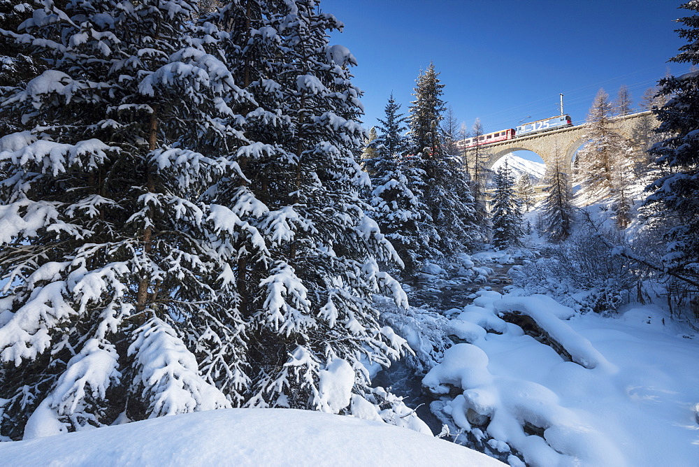 Rhaetian Railway on the Chapella Viadukt surrounded by snowy woods, Canton of Graubunden, Engadine, Switzerland, Europe