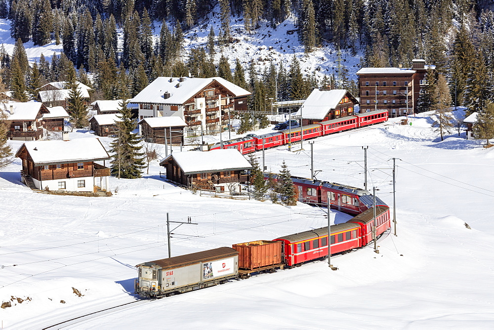 Red train of Rhaetian Railway passes in the snowy landscape of Arosa, district of Plessur, Canton of Graubunden, Switzerland, Europe