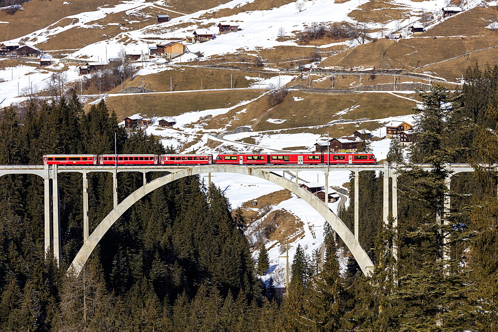 Red train of Rhaetian Railway on Langwieser Viaduct surrounded by woods, Canton of Graubunden, Switzerland, Europe