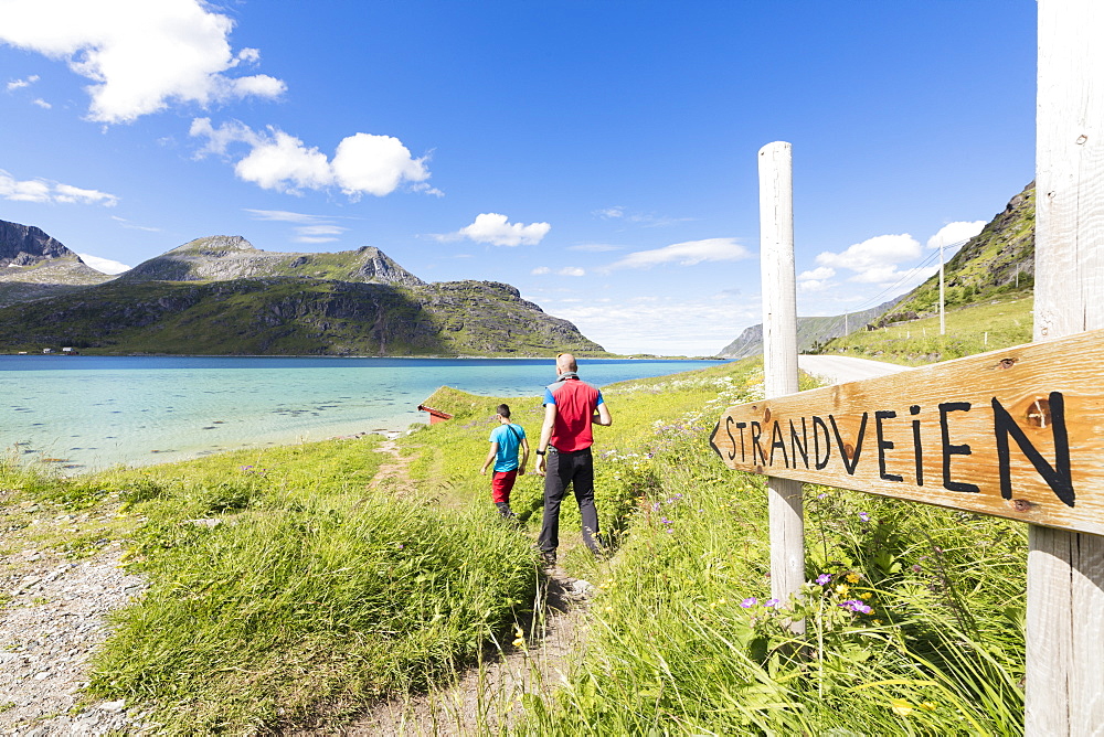 Hikers on footpath in between the green meadows and turquoise sea, Strandveien, Lofoten Islands, Norway, Scandinavia, Europe