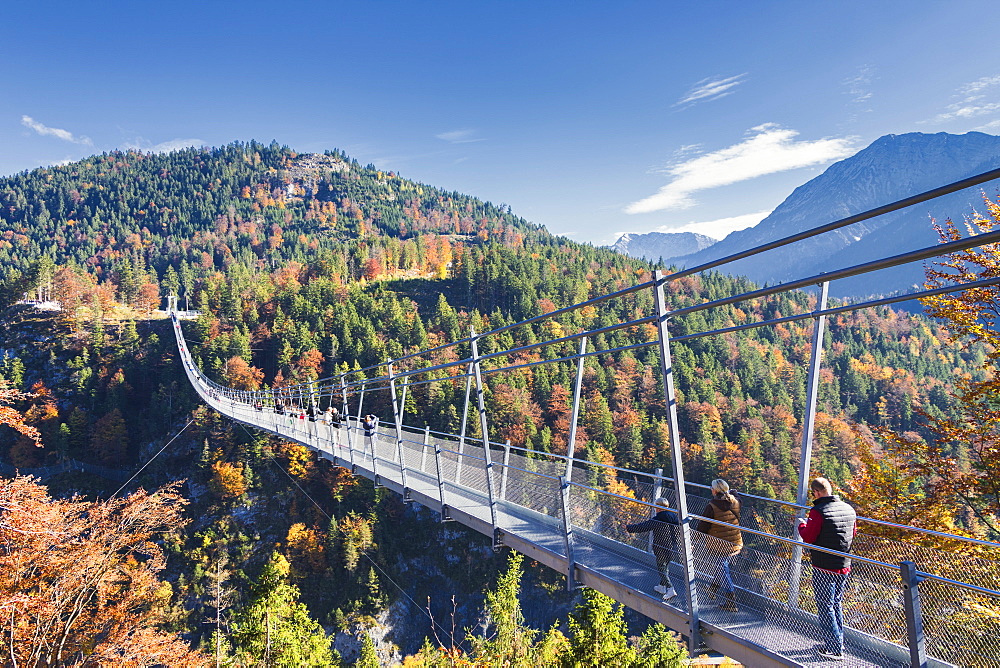 Tourists on the suspension bridge called Highline 179 framed by colorful woods in autumn, Ehrenberg Castle, Reutte, Austria, Europe