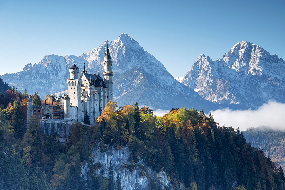 Neuschwanstein Castle surrounded by colorful woods and snowy peaks, Fussen, Bavaria, Germany, Europe