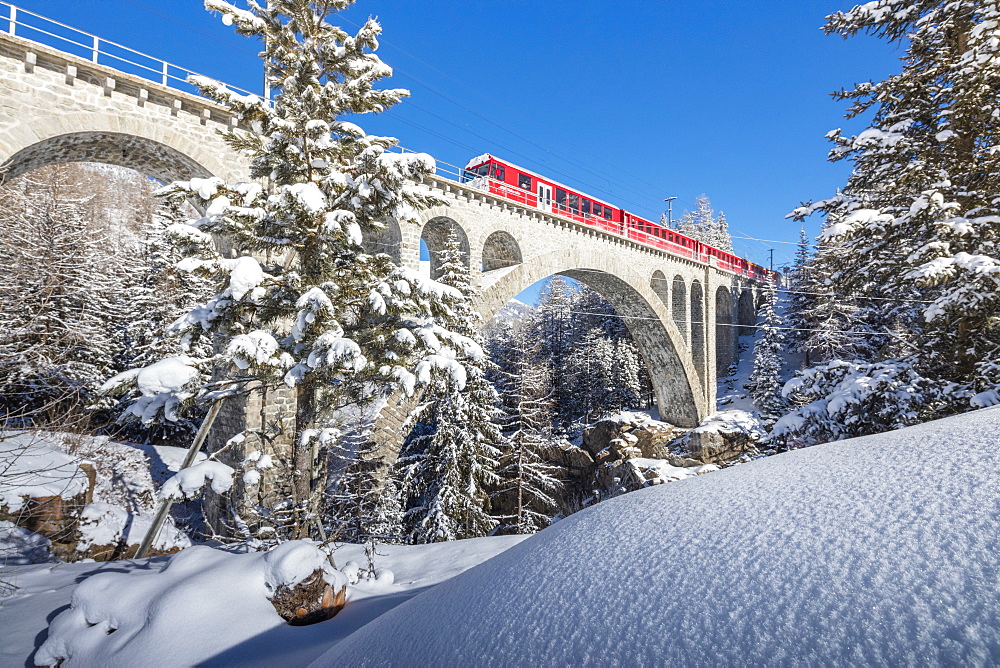 The red train on viaduct surrounded by snowy woods, Cinuos-Chel, Canton of Graubunden, Engadine, Switzerland, Europe