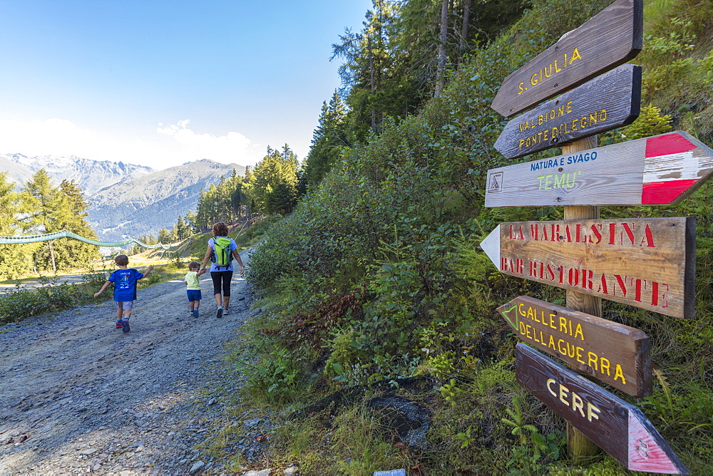 Hikers walk on the alpine path surrounded by woods, Ponte Di Legno, Camonica Valley, province of Brescia, Lombardy, Italy, Europe