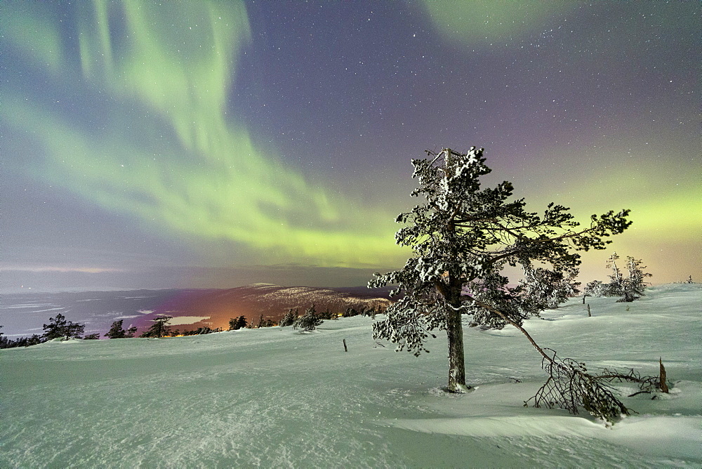 Northern Lights (Aurora Borealis) and starry sky on the snowy landscape and the frozen trees, Levi, Sirkka, Kittila, Lapland region, Finland, Europe