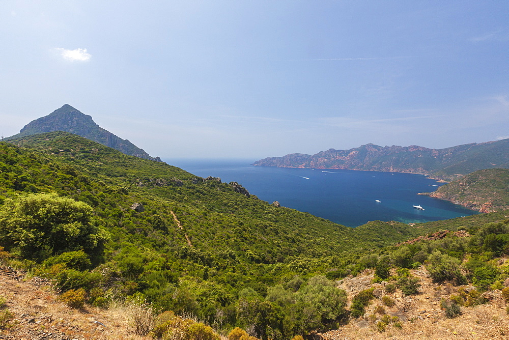 Top view of turquoise sea and bay framed by green vegetation on the promontory, Porto, Southern Corsica, France, Mediterranean, Europe