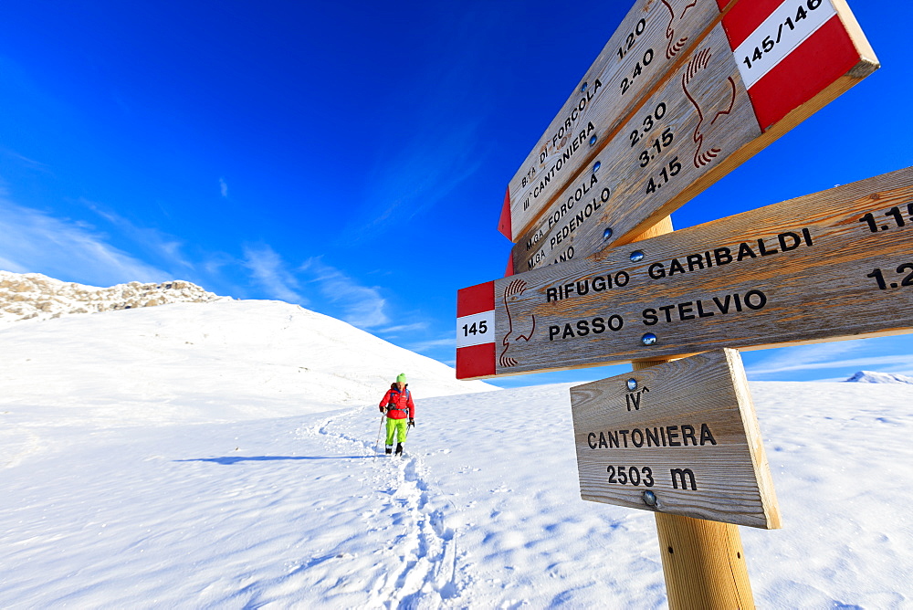 Hiker with snowshoe proceeds on the path covered with snow, Braulio Valley, Valtellina, Lombardy, Italy, Europe