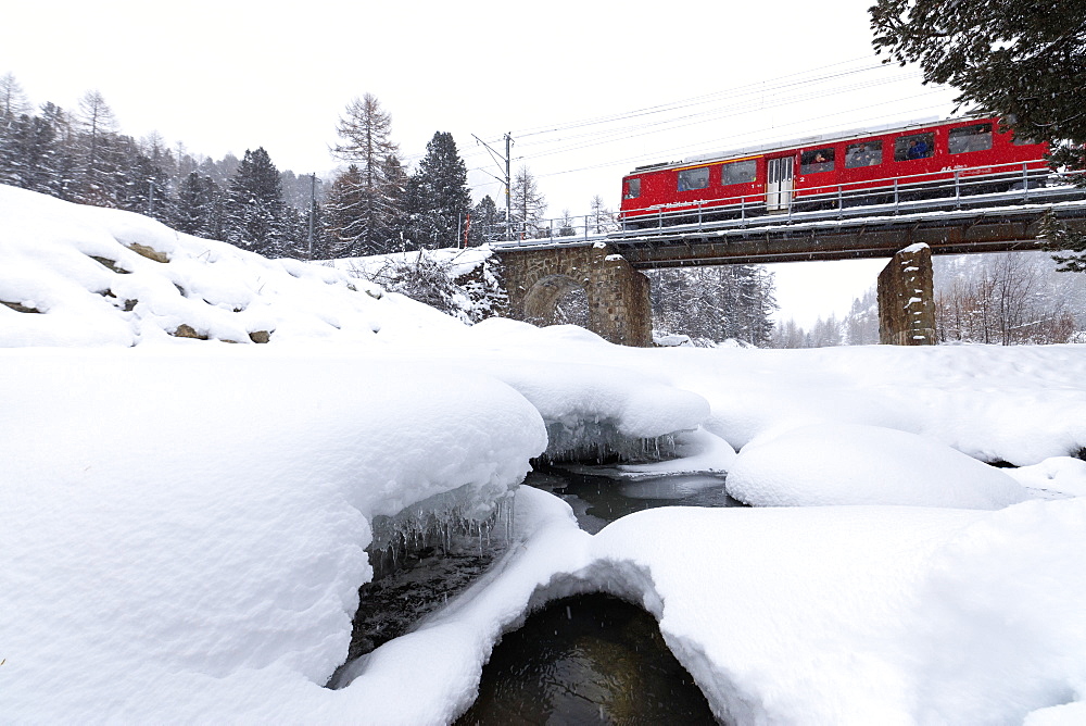 The Bernina Express train in the snowy landscape of Morteratsch, Engadine, Canton of Graubunden, Switzerland, Europe