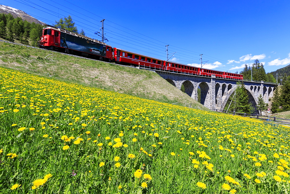 Bernina Express train on Cinuos-chel Viadukt in spring, St. Moritz, Majola, Canton of Graubunden, Switzerland, Europe