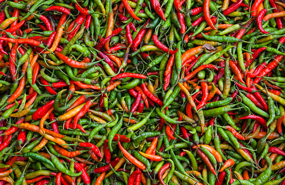 Seafood chili are exposed in the streets of Darjeeling, this drug assim with other spices is produced in India and exported, India, Asia