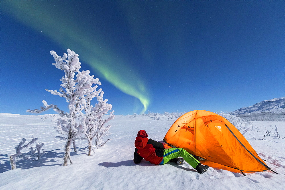 Hiker outside a tent looks at the Northern Lights (Aurora Borealis), Abisko, Kiruna Municipality, Norrbotten County, Lapland, Sweden, Scandinavia, Europe