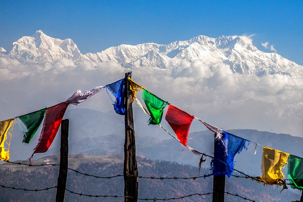 Colored prayer flags flutter in front of the majestic Kanchenjunga, the third highest peak in the world, Sandakphu, West Bengal, India, Asia