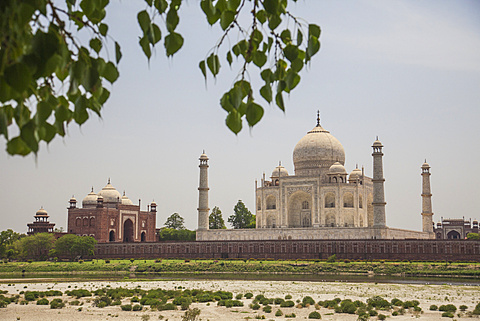 The Taj Mahal, UNESCO World Heritage Site, Agra, Uttar Pradesh, India, Asia