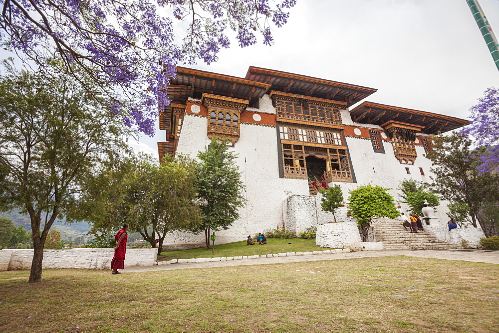 The garden at the entrance of the Punakha Dzong where there are trees of different species, Bhutan, Asia