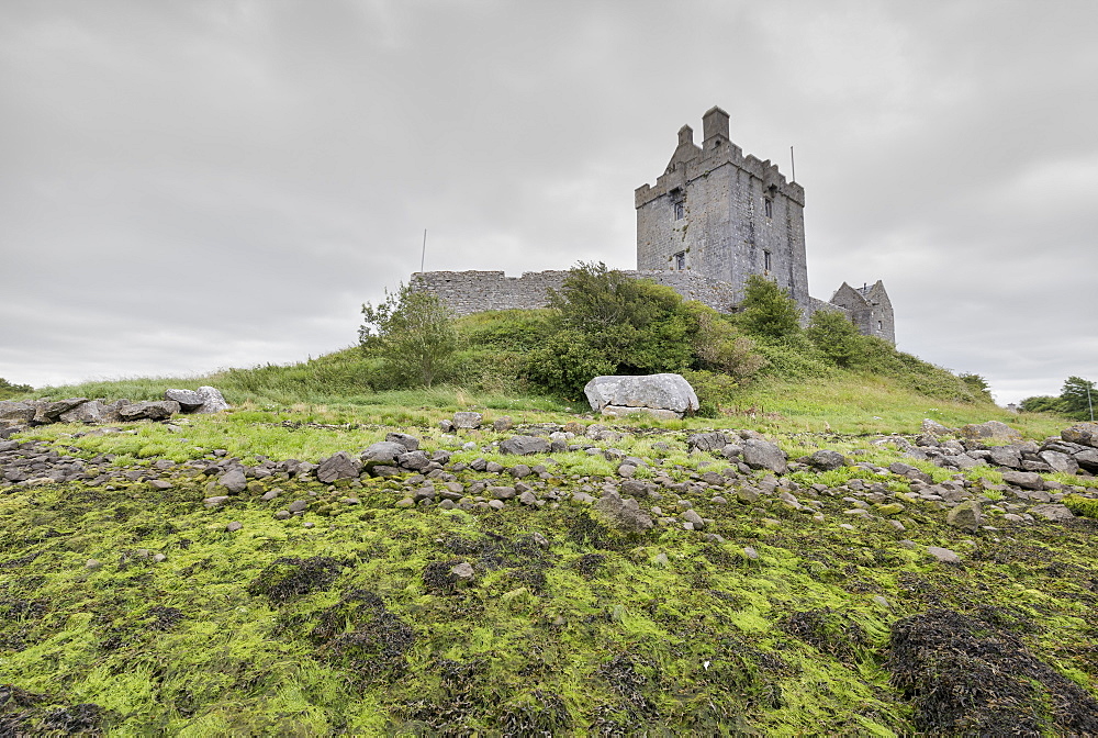 Dunguaire Castle, Kinvara, Galway, Connacht, Republic of Ireland, Europe