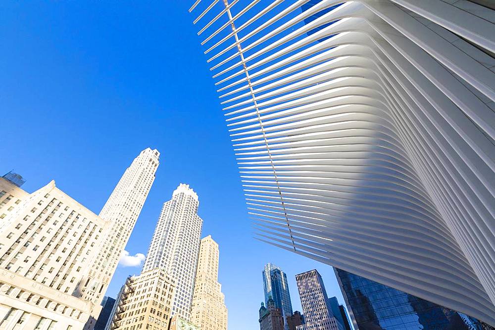 The Oculus Building by Santiago Calatrava, One World Trade Center, Lower Manhattan, New York City, United States of America, North America