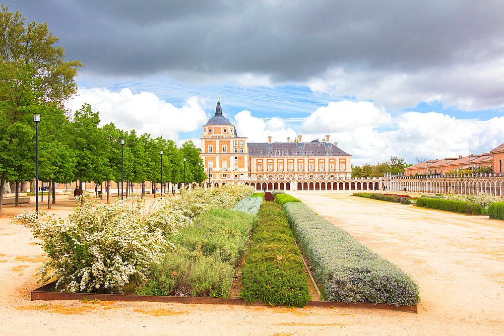 Ornamental plants, Royal Palace of Aranjuez (Palacio Real), Community of Madrid, Spain, Europe