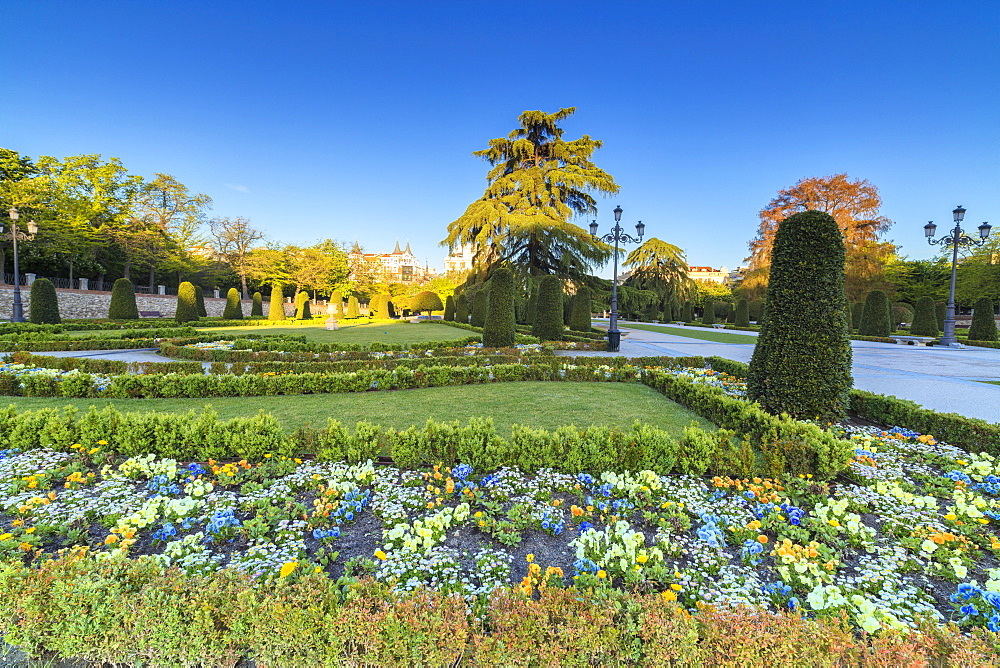 Flowers and gardens, Parque del Buen Retiro, Madrid, Spain, Europe