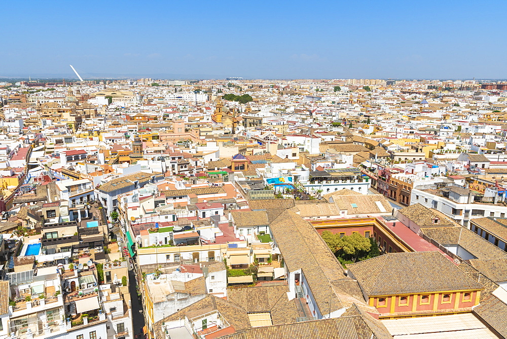 Roofs and typical buildings of the city from the bell tower of Giralda, icon of Seville, Andalusia, Spain, Europe