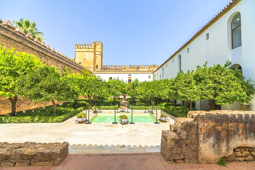 Orange trees and pool in the ancient courtyard Patio Morisco, Alcazar de los Reyes Cristianos, Cordoba, UNESCO World Heritage Site, Andalusia, Spain, Europe