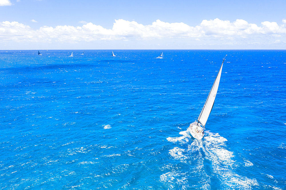 Sailing boats in the blue sea during a competition, Antigua, Leeward Islands, West Indies, Caribbean, Central America