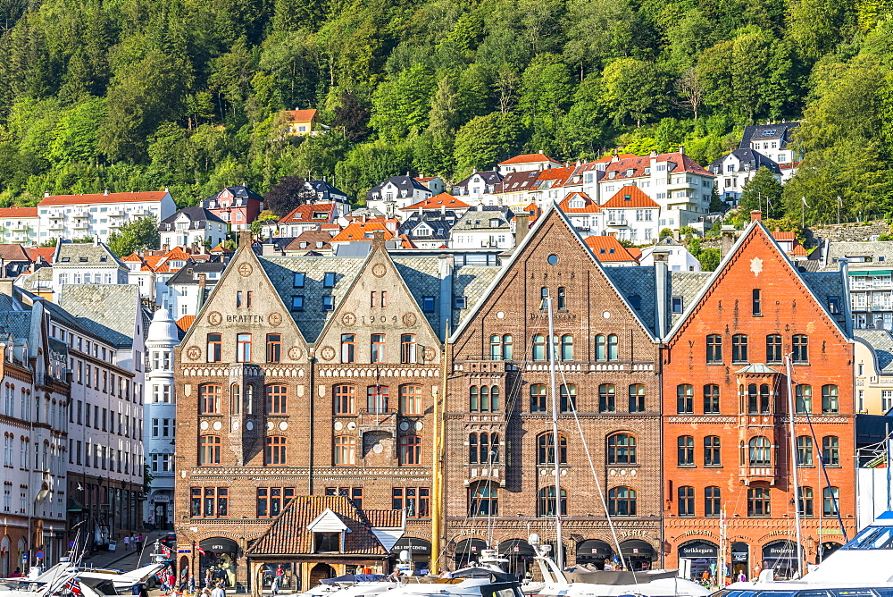 Facades of old Hanseatic buildings in Bryggen, largest commercial port of Northern Europe in the 14th century, UNESCO World Heritage Site, Bergen, Hordaland, Norway, Scandinavia, Europe