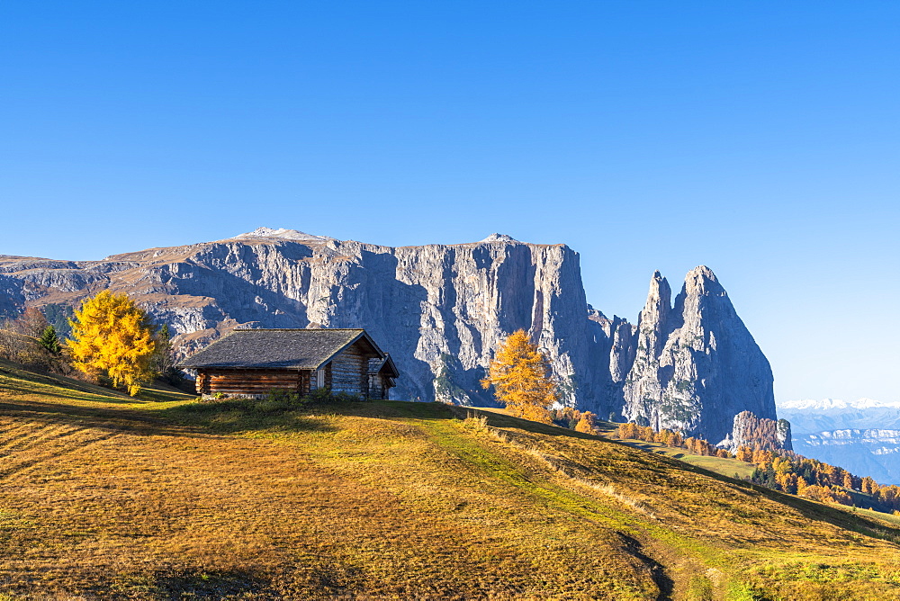 Traditional huts at Alpe di Siusi (Seiser Alm) in autumn with Sciliar peaks in background, Dolomites, South Tyrol, Italy, Europe