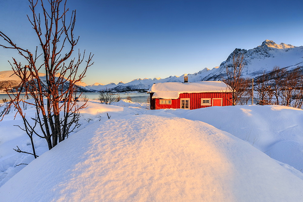 The winter sun illuminates a typical Norwegian red house surrounded by fresh snow, Svolvaer, Lofoten Islands, Arctic, Norway, Scandinavia, Europe