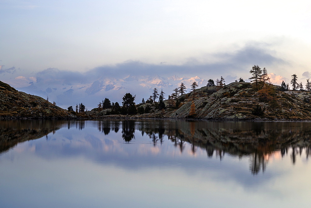 Dawn on Mount Rosa seen from Lac Blanc, Natural Park of Mont Avic, Aosta Valley, Graian Alps, Italy, Europe