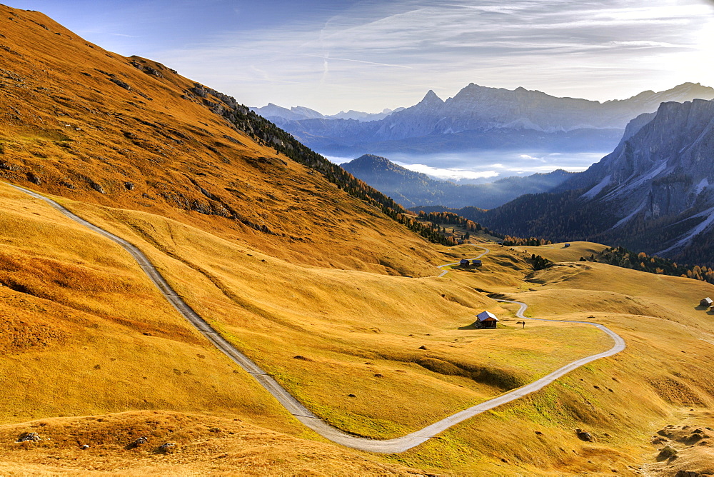 Autumn colors in the valley around the group Forcella de Furcia at sunrise, Funes Valley, South Tyrol, Dolomites, Italy, Europe