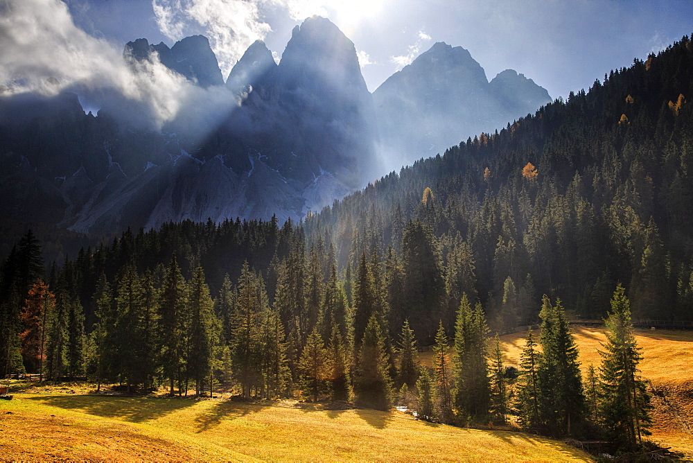 Green meadows and colorful woods in autumn frame the Odle, Malga Zannes, Funes Valley, South Tyrol, Dolomites, Italy, Europe