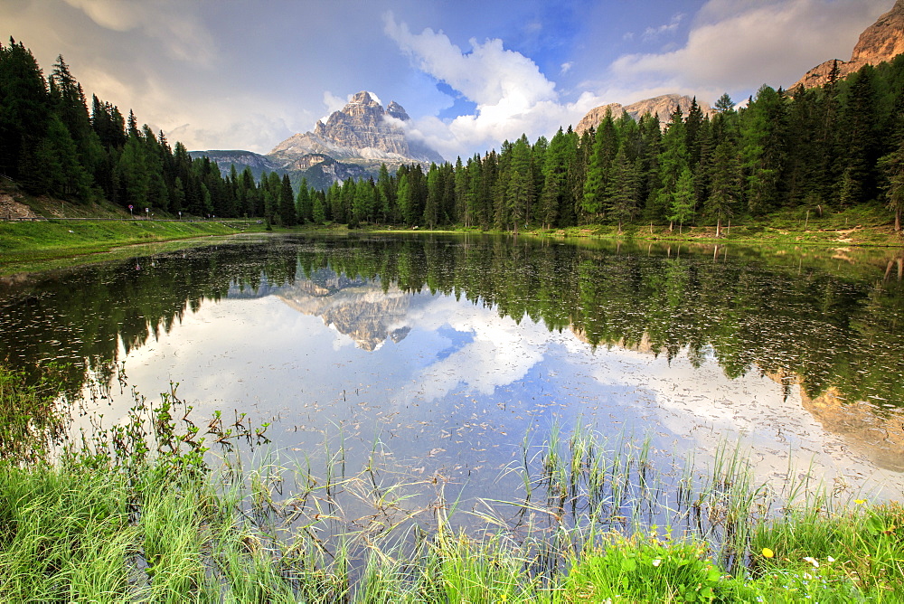 Trees reflected in Lake Antorno at sunset, Auronzo of Cadore, Veneto Sesto Dolomites, Italy, Europe