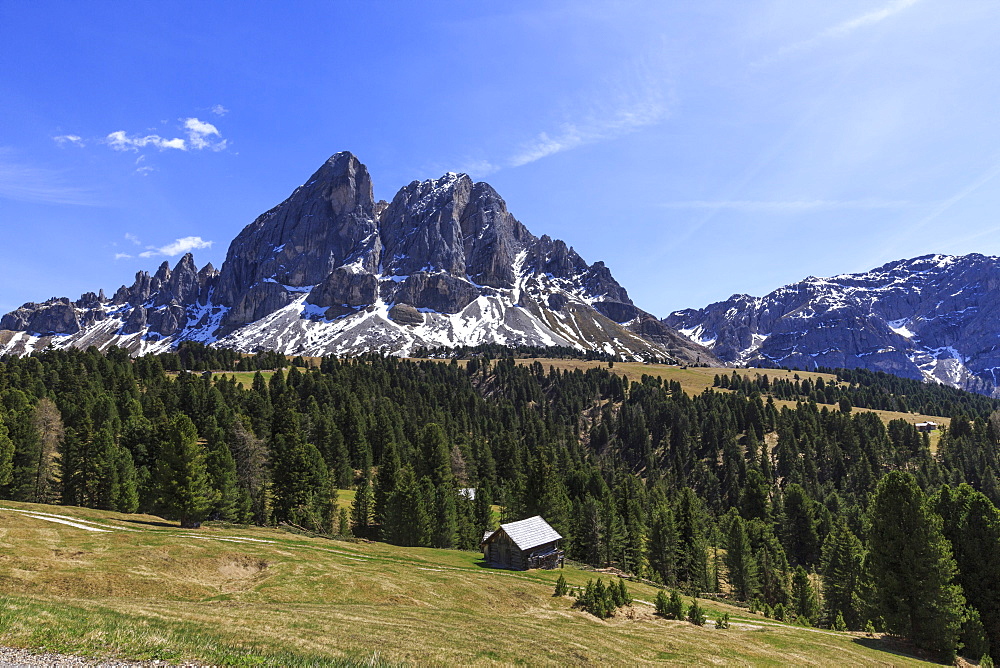 Sass de Putia in background enriched by green woods, Passo delle Erbe, South Tyrol, Dolomites, Italy, Europe