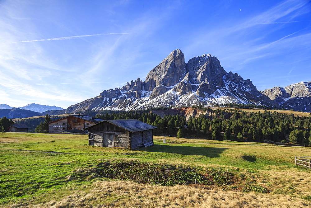 Sass de Putia in background enriched by green meadows, Passo delle Erbe, Puez Odle, South Tyrol, Dolomites, Italy, Europe