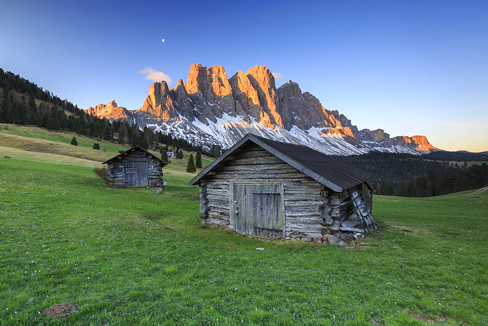 The group of Odle views from Gampen Malga at dawn, Funes Valley, Dolomites, South Tyrol, Italy, Europe