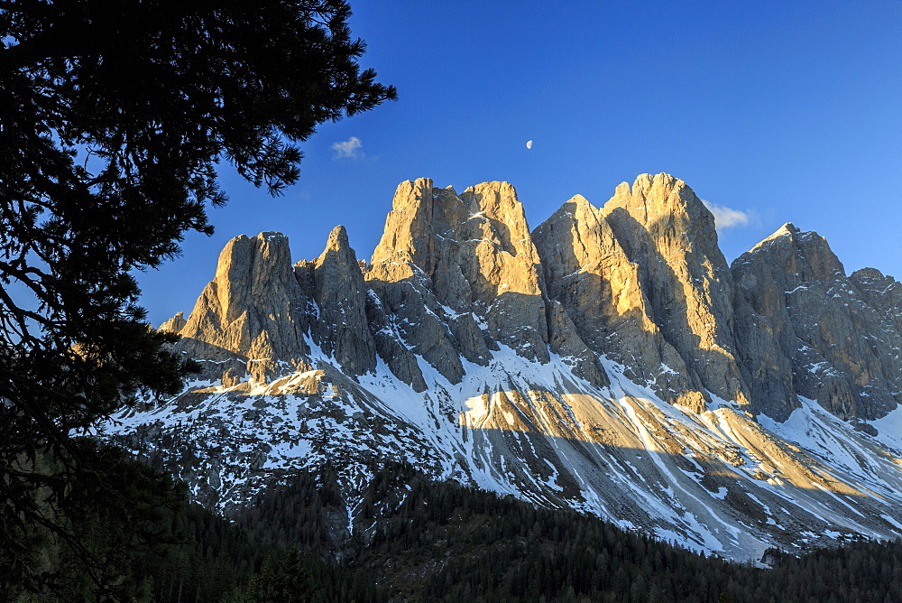 The group of Odle and its peaks at sunrise, St. Magdalena, Funes Valley, South Tyrol, Dolomites, Italy, Europe