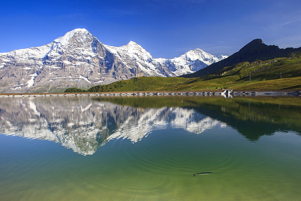 Mount Eiger reflected in clear waters of a lake, Mannlichen, Grindelwald, Bernese Oberland, Canton of Bern, Swiss Alps, Switzerland, Europe