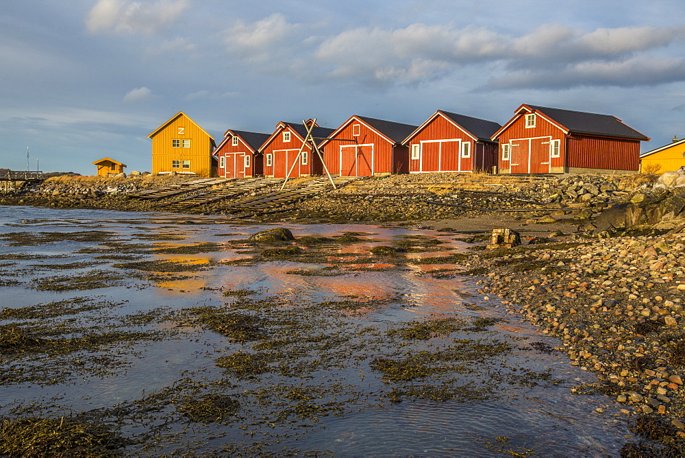 The colors of dawn light up the houses of fishermen, Flatanger, Trondelag, Norway, Scandinavia, Europe